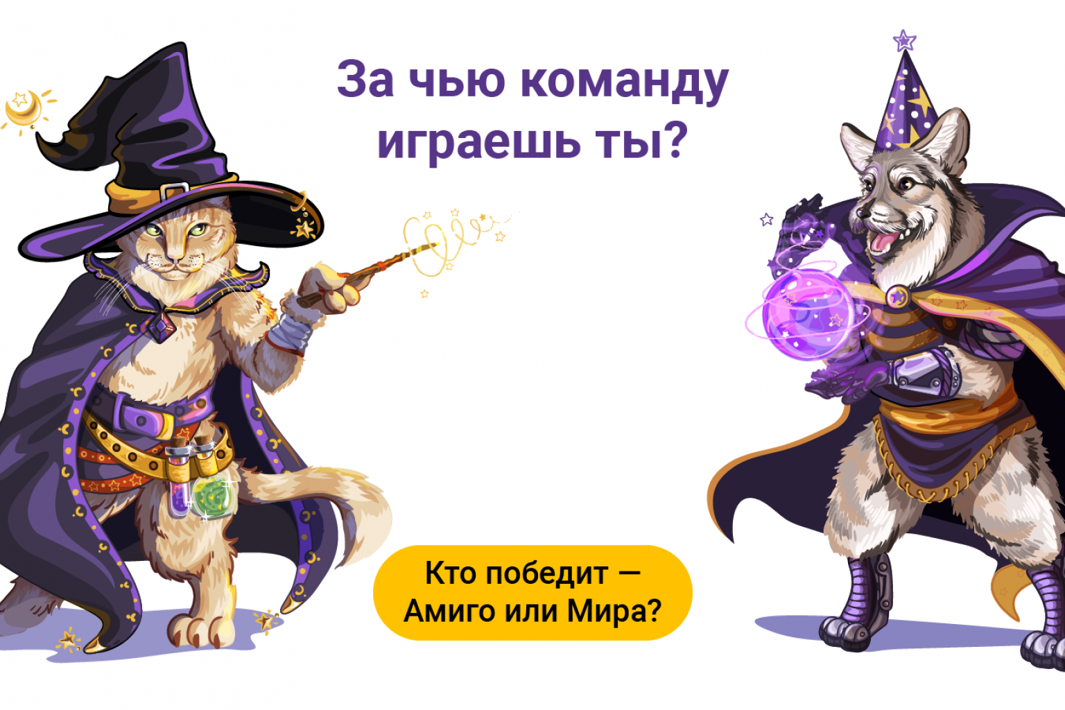 Битва магов: получи предсказание от хвостатых волшебников! | Pet4Me.ru